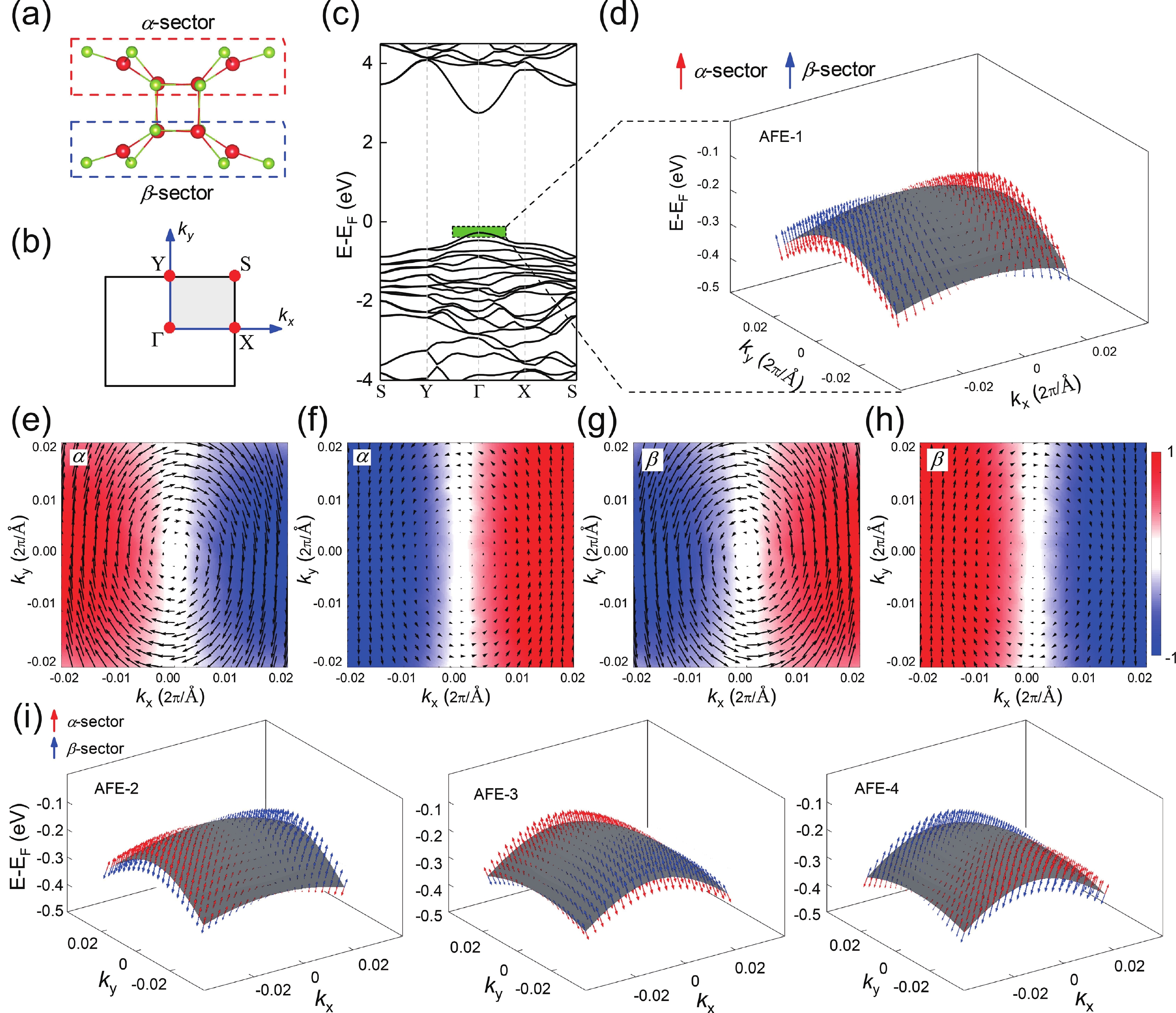 Switchable hidden spin polarization and negative Poisson's ratio in two ...