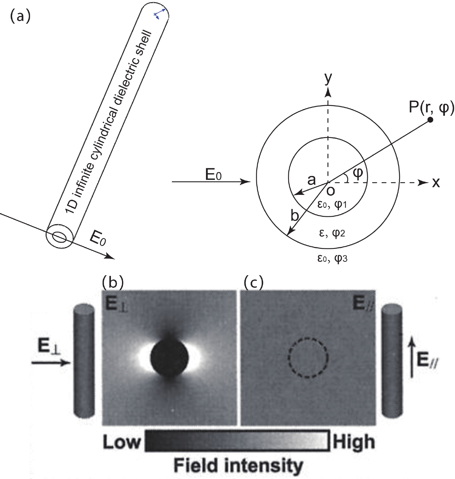 Anisotropic optical and electric properties of β-gallium