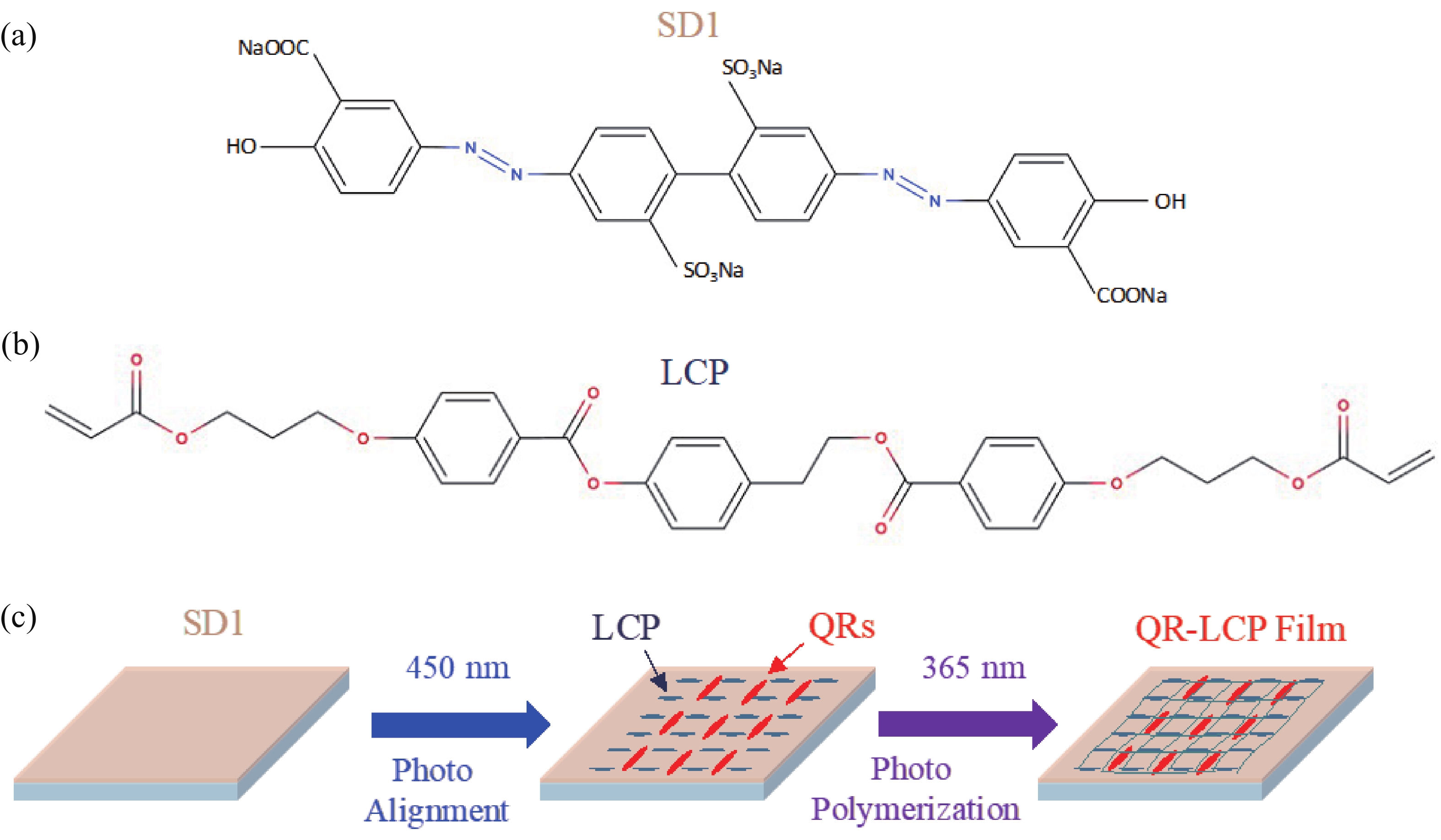 Photo-induced flexible semiconductor CdSe/CdS quantum rods alignment ...