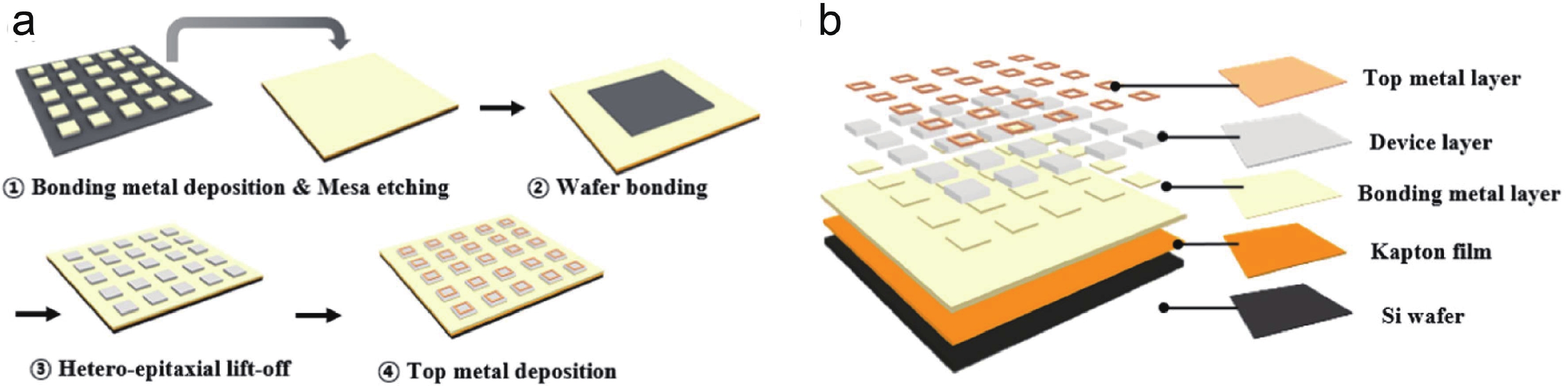 Design strategies and insights of flexible infrared optoelectronic ...