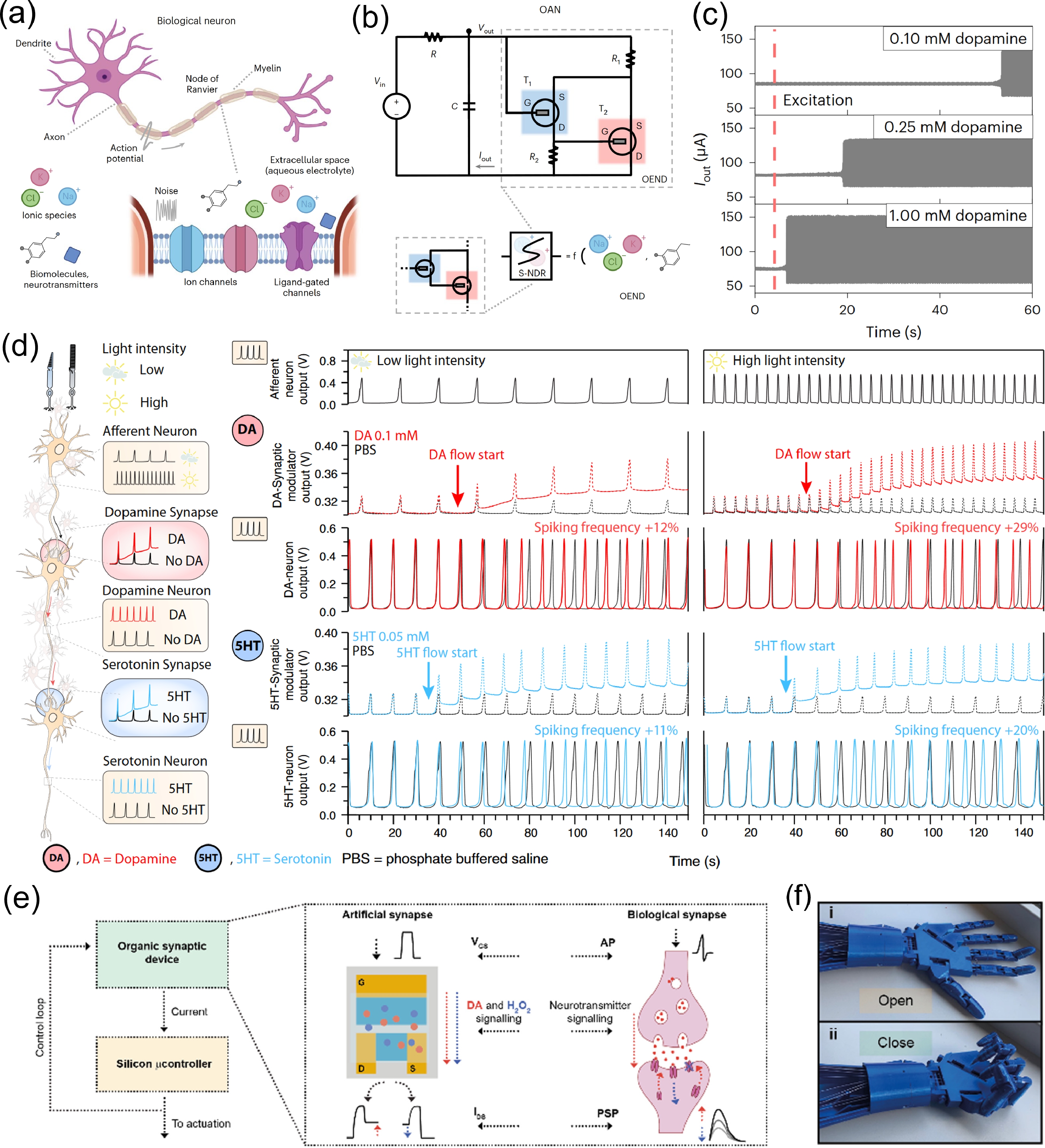 Neurotransmitter-mediated artificial synapses based on organic ...