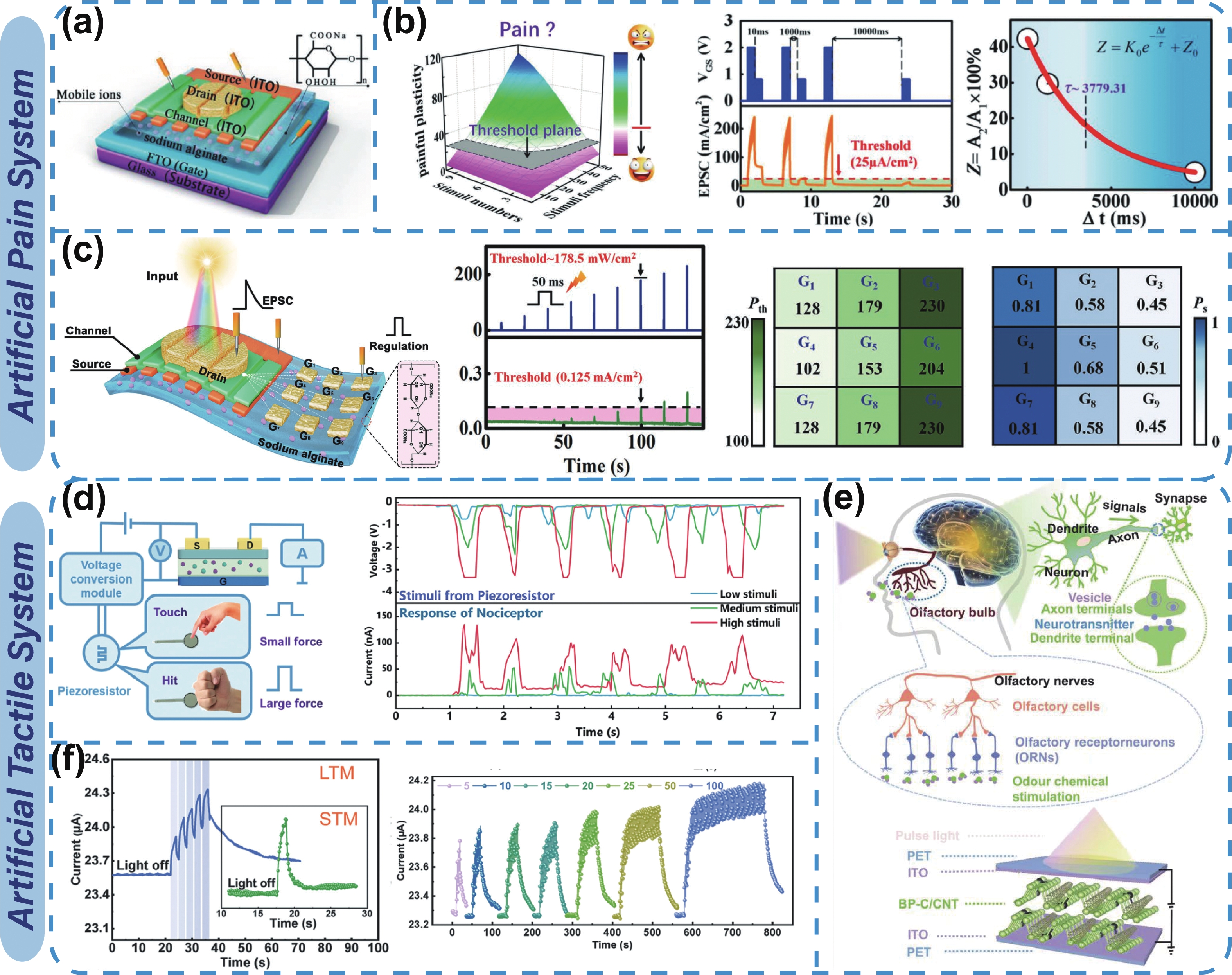 Electrolyte-gated optoelectronic transistors for neuromorphic ...