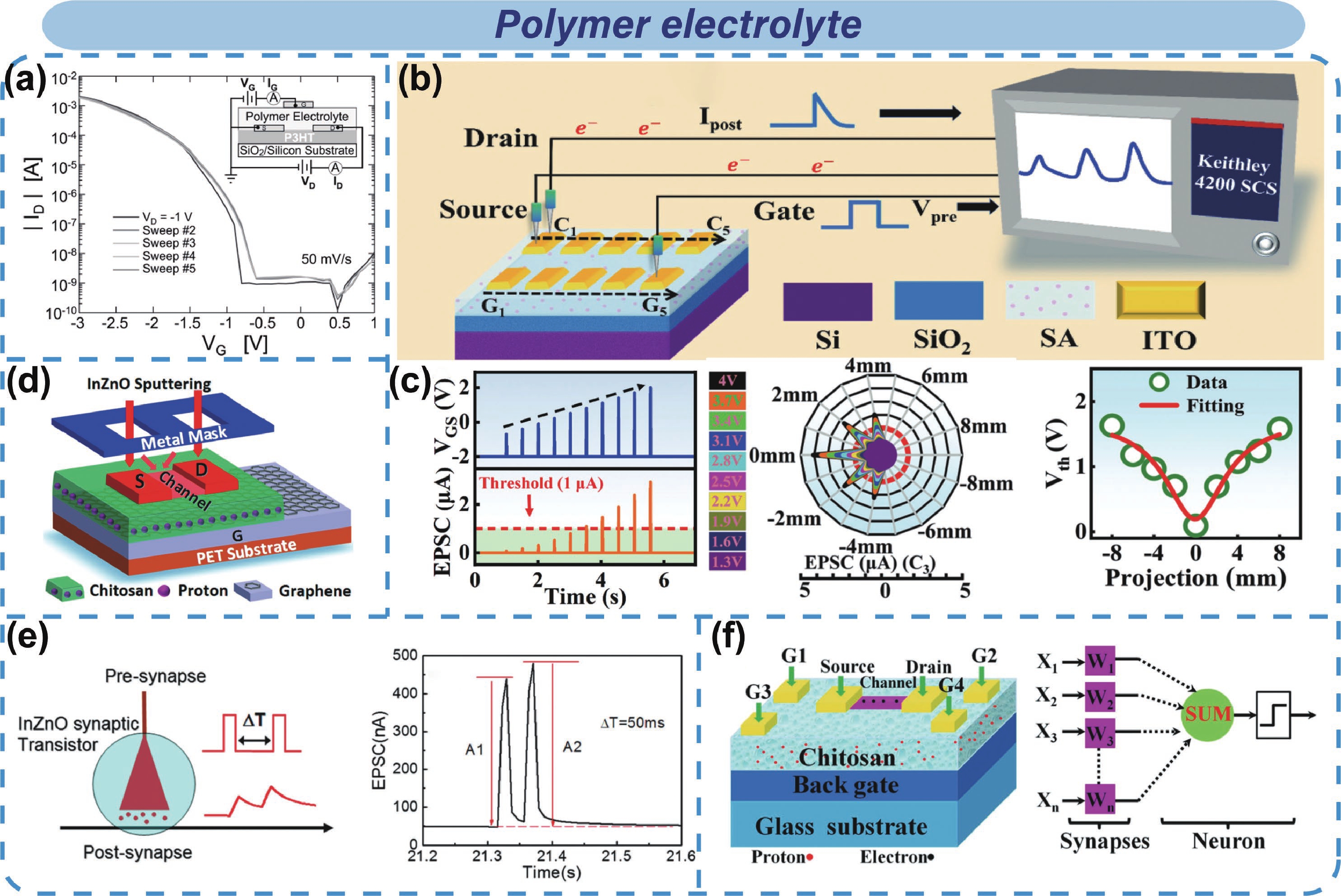 Electrolyte-gated optoelectronic transistors for neuromorphic ...