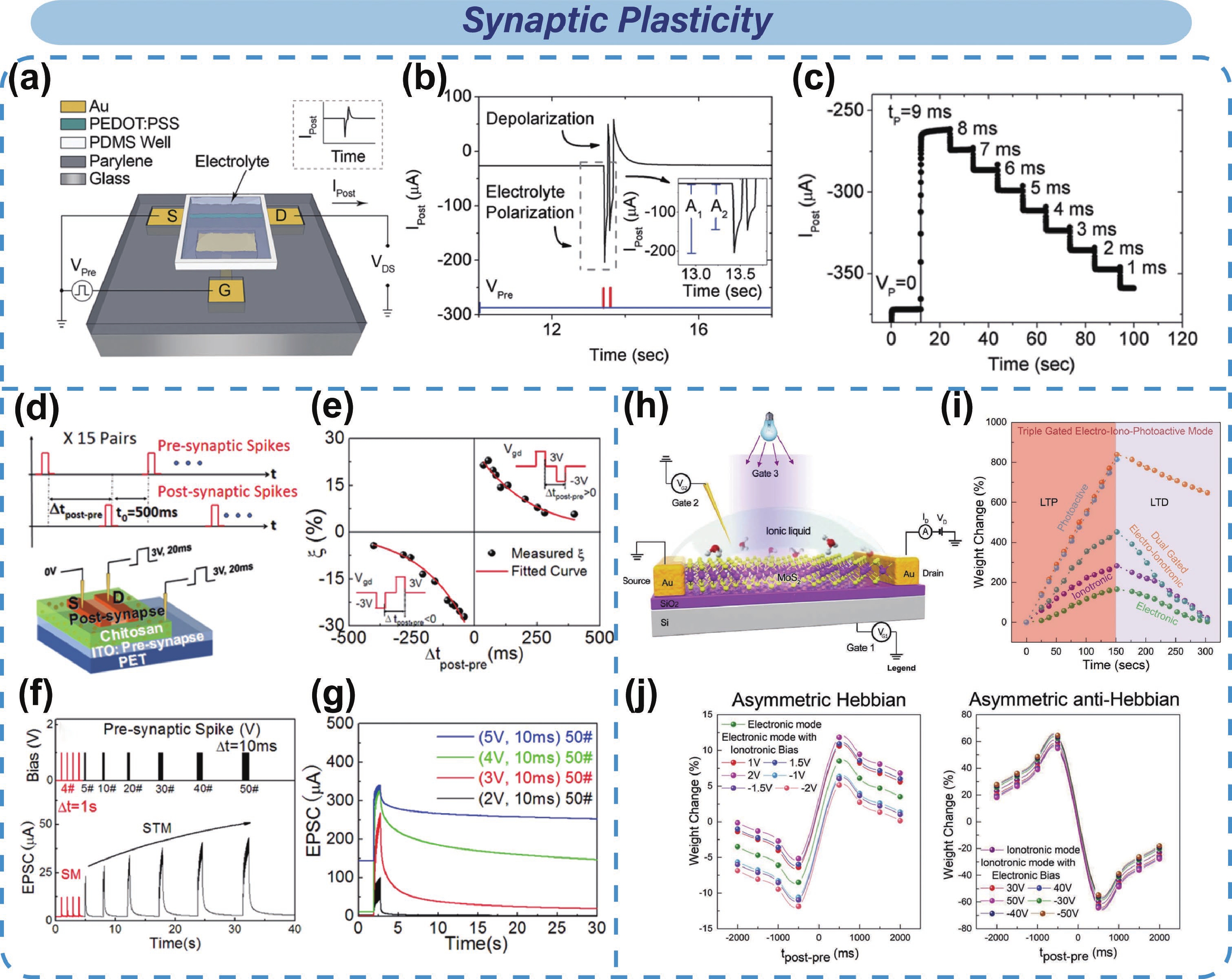 Electrolyte-gated optoelectronic transistors for neuromorphic ...