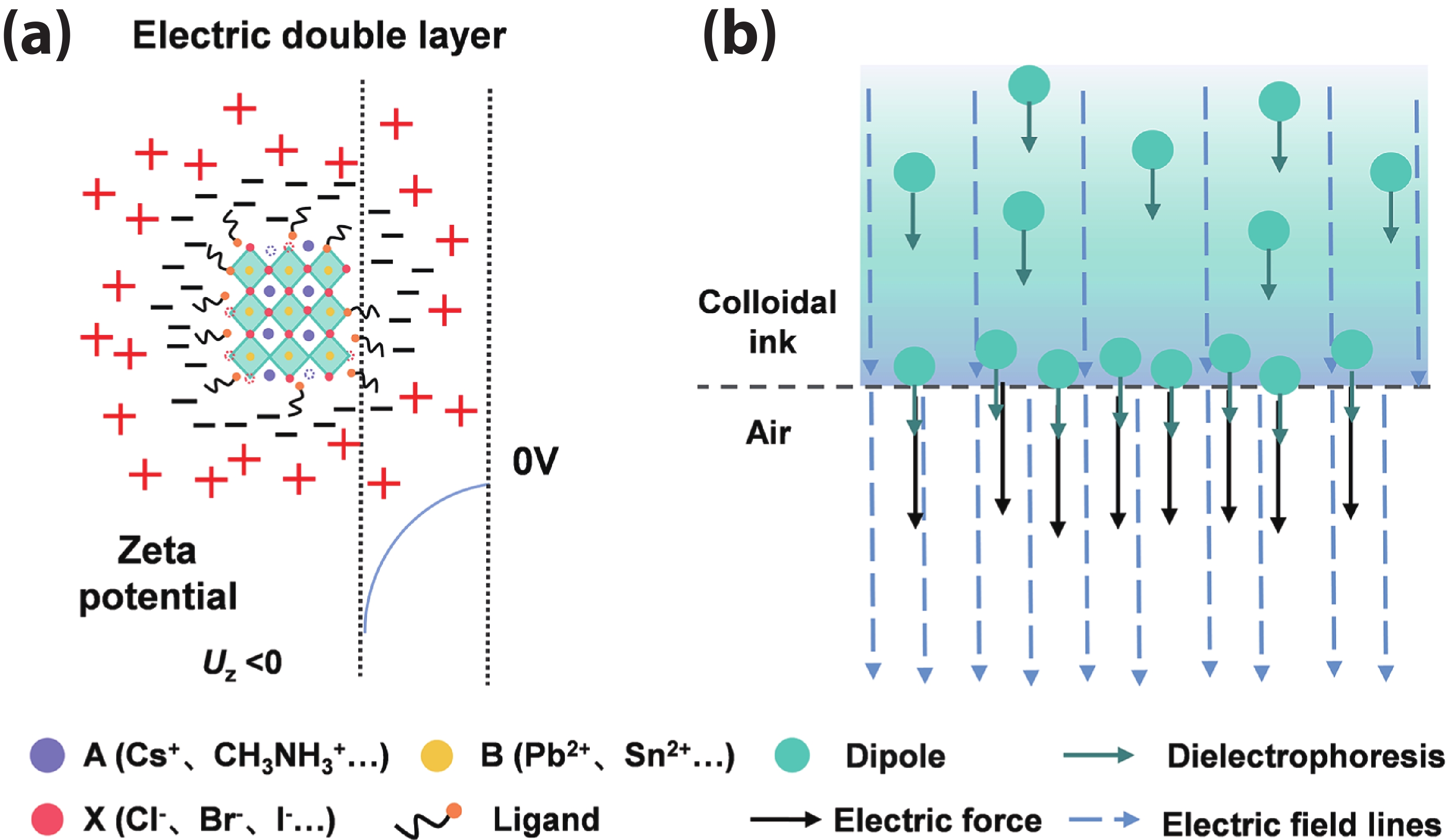 Electrohydrodynamic inkjet printing of perovskite quantum dots for ...