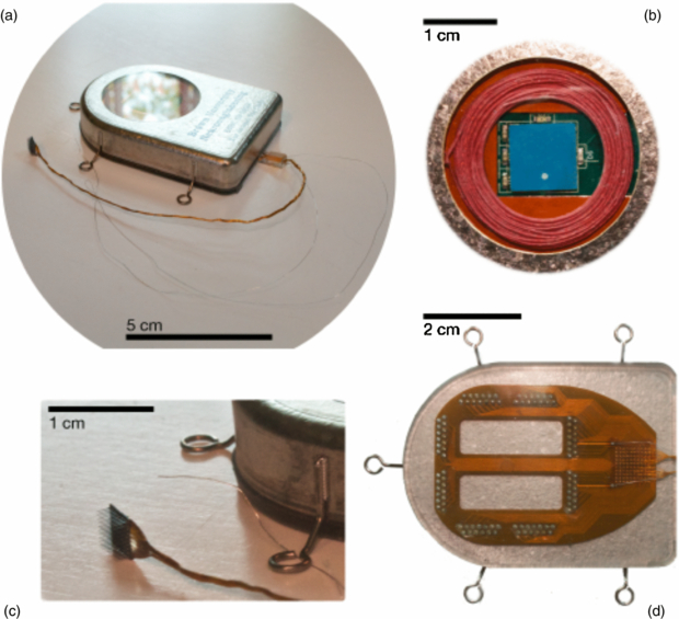 An implantable wireless neural interface for recording cortical circuit ...