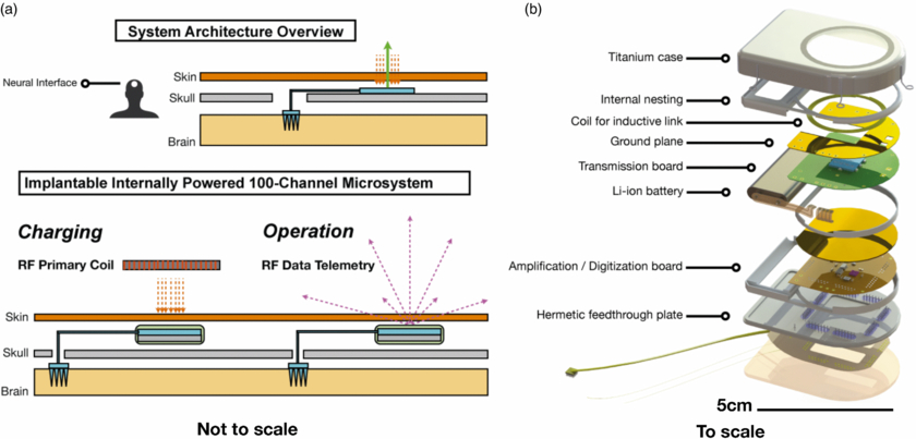 An implantable wireless neural interface for recording cortical circuit ...