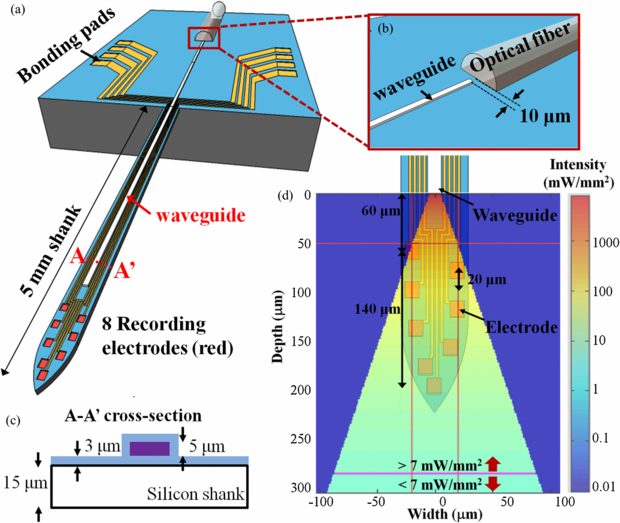 An implantable neural probe with monolithically integrated dielectric ...