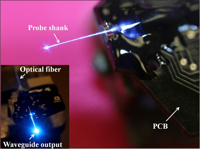 An implantable neural probe with monolithically integrated dielectric ...