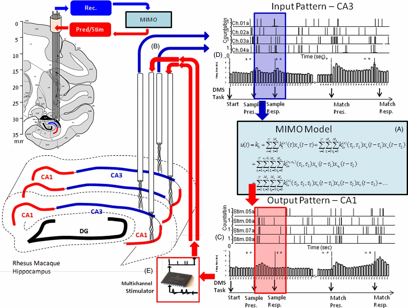 Facilitation of memory encoding in primate hippocampus by a ...