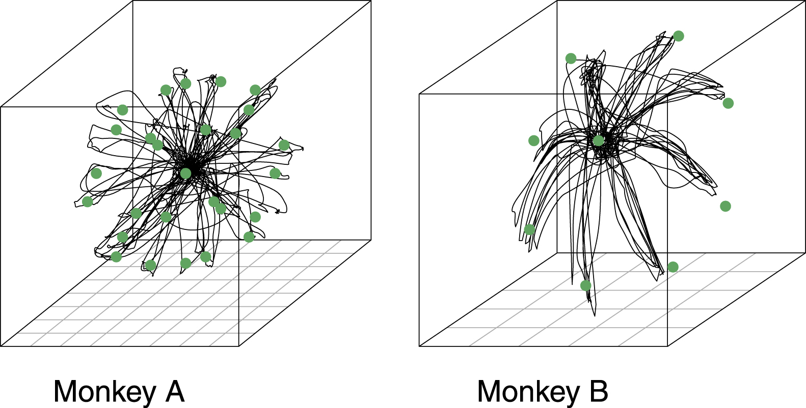 Monkey Sort To sort or not to sort: the impact of spike-sorting on neural decoding ...