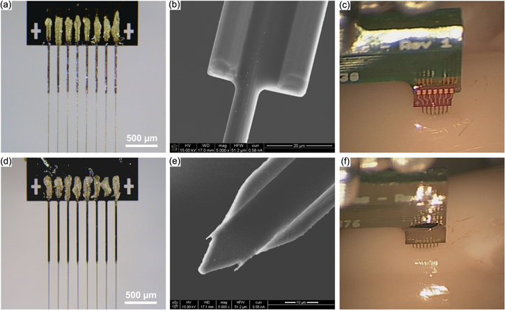 Insertion of linear 8.4 μm diameter 16 channel carbon fiber electrode ...