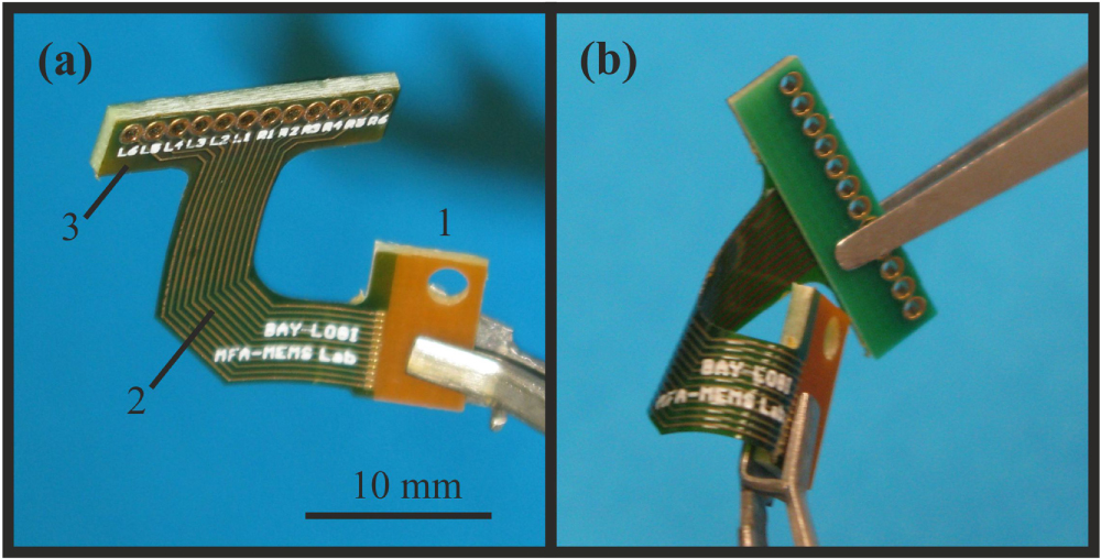 Brain Microdrive A silicon-based microelectrode array with a microdrive for monitoring ...
