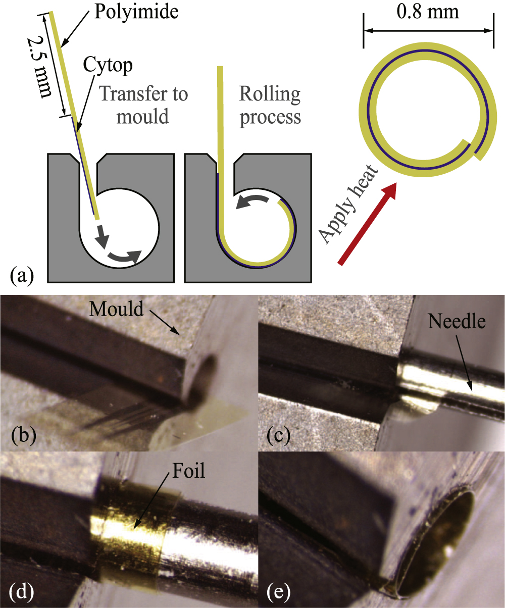 Chronic neural probe for simultaneous recording of single-unit, multi ...
