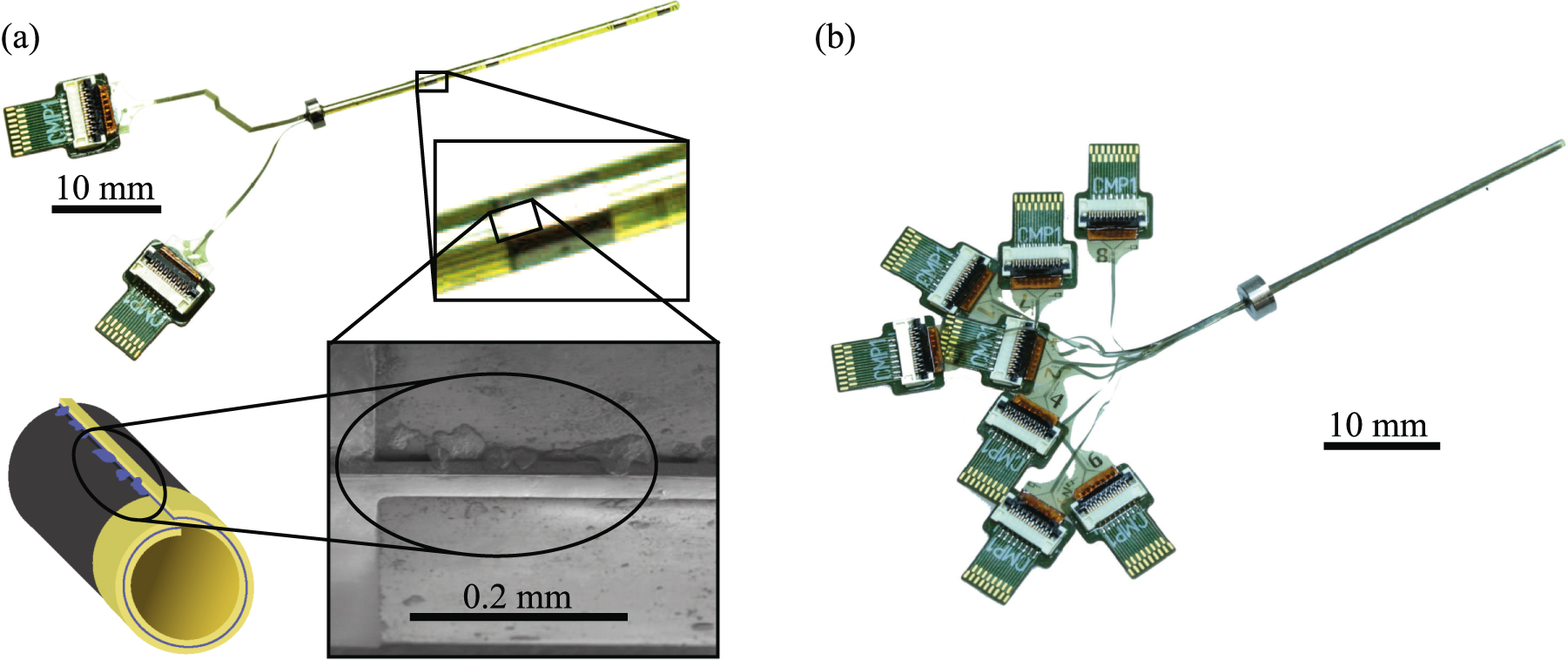 Chronic neural probe for simultaneous recording of single-unit, multi ...