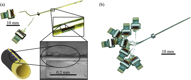 Chronic neural probe for simultaneous recording of single-unit, multi ...