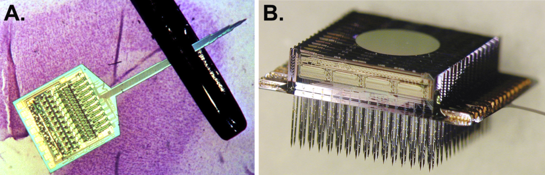 Electrode Microarray Clinical applications of penetrating neural interfaces and Utah ...
