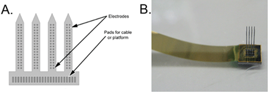 Clinical applications of penetrating neural interfaces and Utah ...