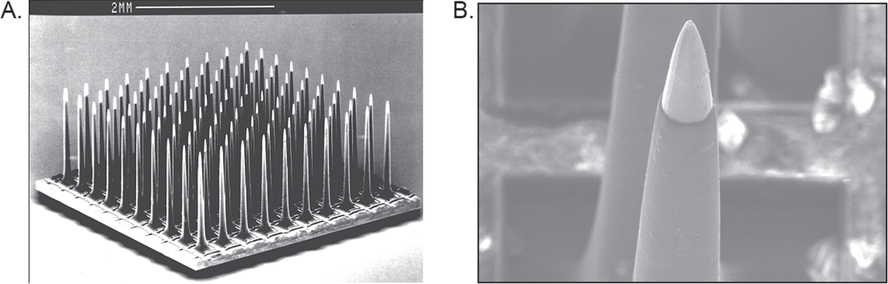Clinical applications of penetrating neural interfaces and Utah ...