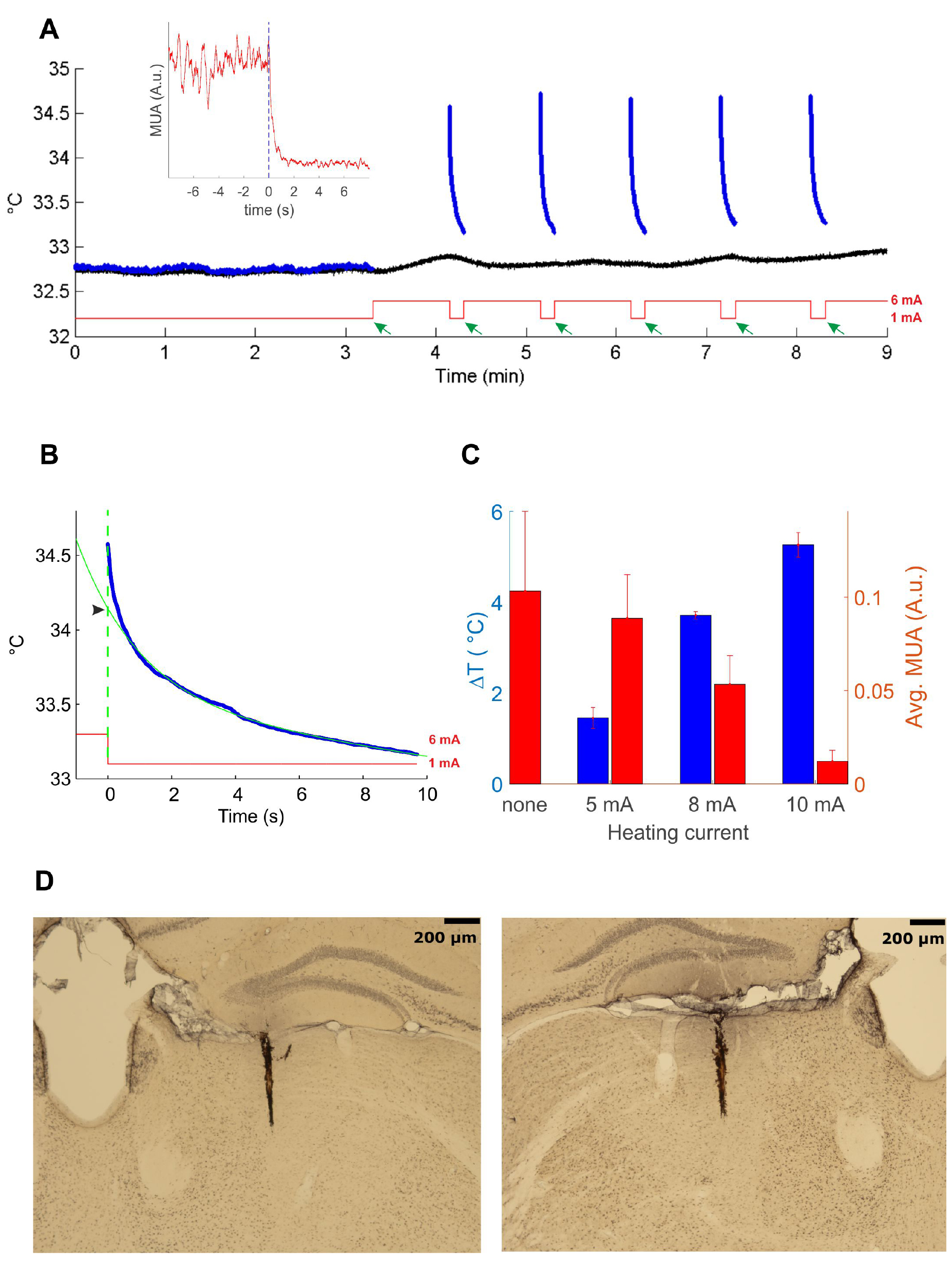Simultaneous in vivo recording of local brain temperature and ...