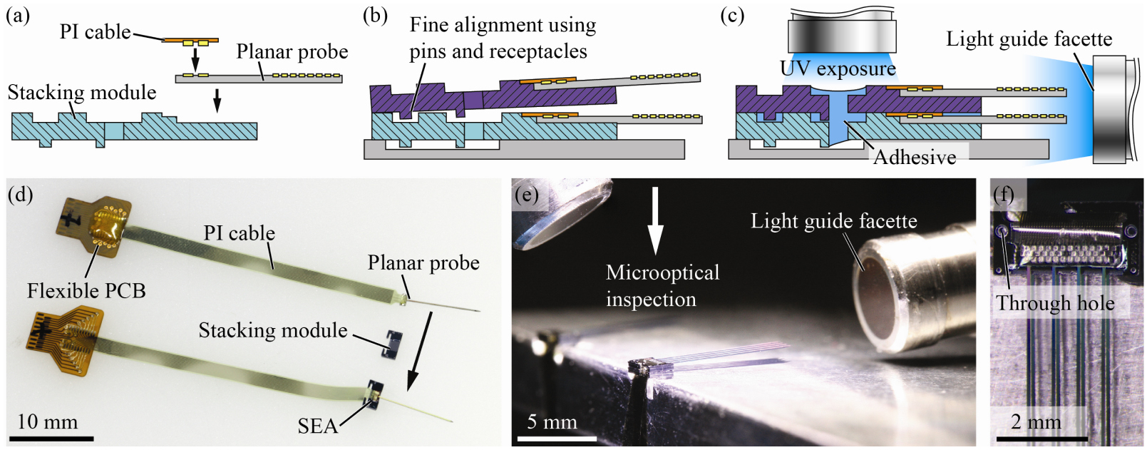 Versatile, modular 3D microelectrode arrays for neuronal ensemble ...