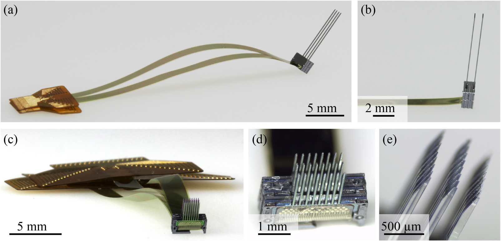 Versatile, modular 3D microelectrode arrays for neuronal ensemble ...