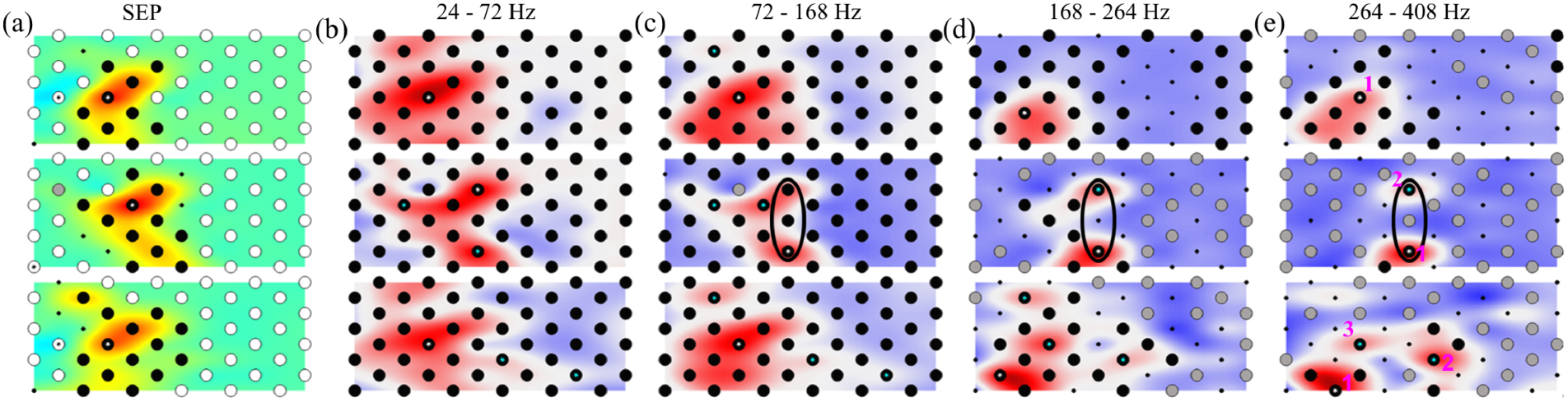 Mapping the fine structure of cortical activity with different micro ...