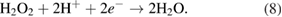 Equation (8)