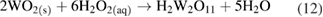 Equation (12)