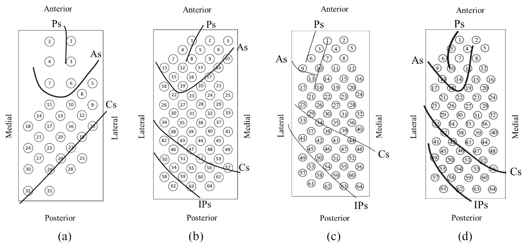 Hand Function Regression A piecewise probabilistic regression model to decode hand movement ...