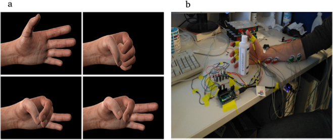 Gumpy: a Python toolbox suitable for hybrid brain–computer interfaces ...