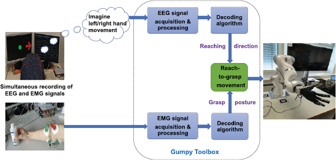 Gumpy: a Python toolbox suitable for hybrid brain–computer interfaces ...