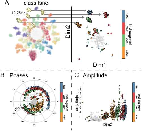 Compact convolutional neural networks for classification of ...