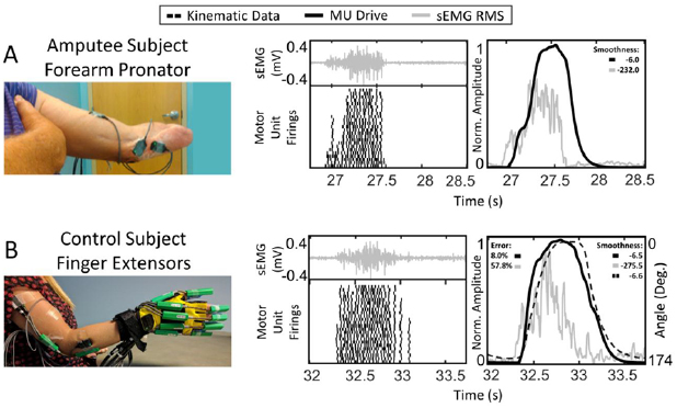 Motor unit drive: a neural interface for real-time upper limb ...