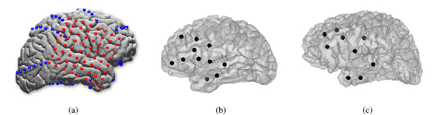 Coarse behavioral context decoding - IOPscience