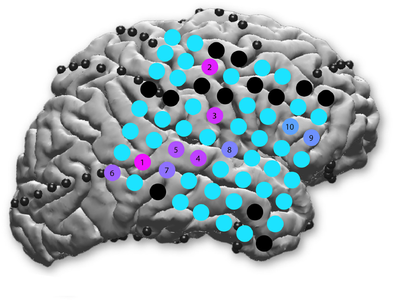 Coarse behavioral context decoding - IOPscience