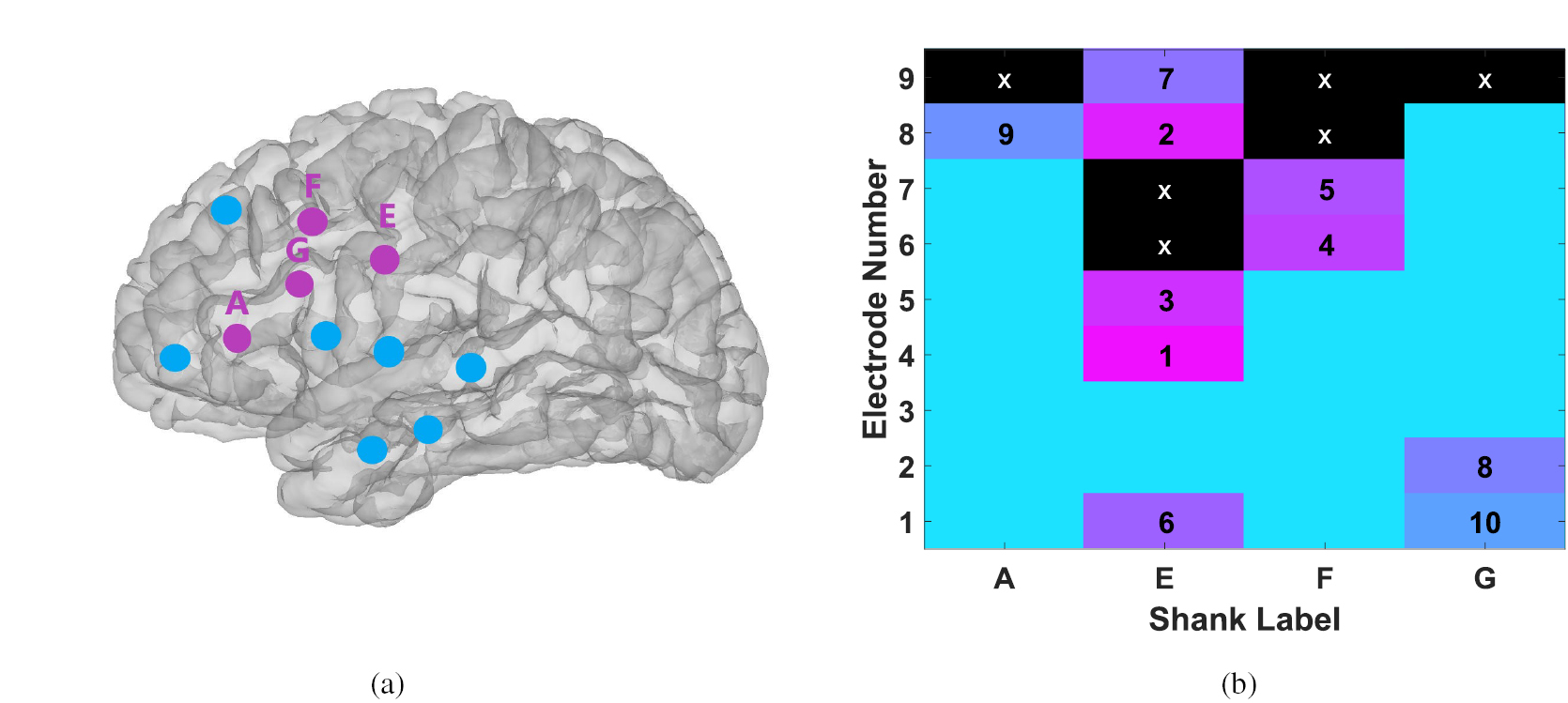 Coarse behavioral context decoding - IOPscience