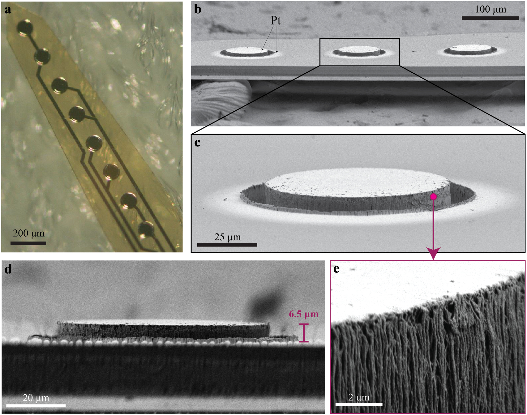 Multilayer 3D electrodes for neural implants - IOPscience