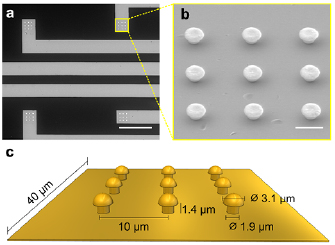Improved in vitro electrophysiology using 3D-structured microelectrode ...