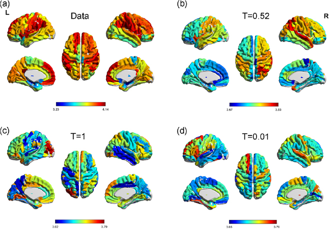 Maximal flexibility in dynamic functional connectivity with critical ...