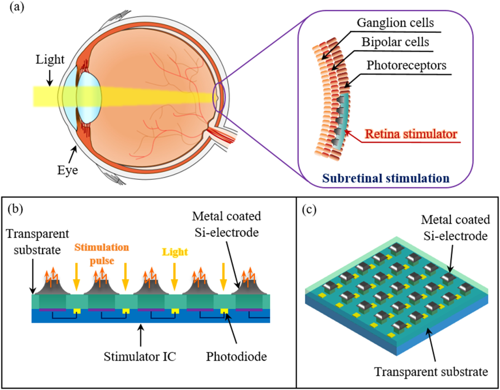 A 3D flexible microelectrode array for subretinal stimulation - IOPscience