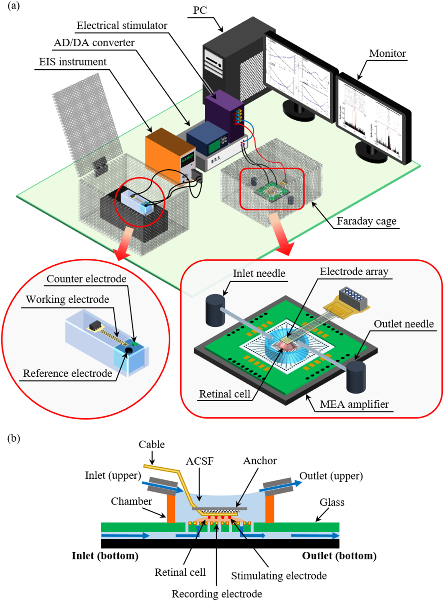 A 3D flexible microelectrode array for subretinal stimulation - IOPscience