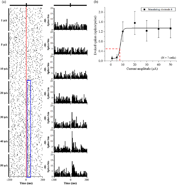 A 3D flexible microelectrode array for subretinal stimulation - IOPscience