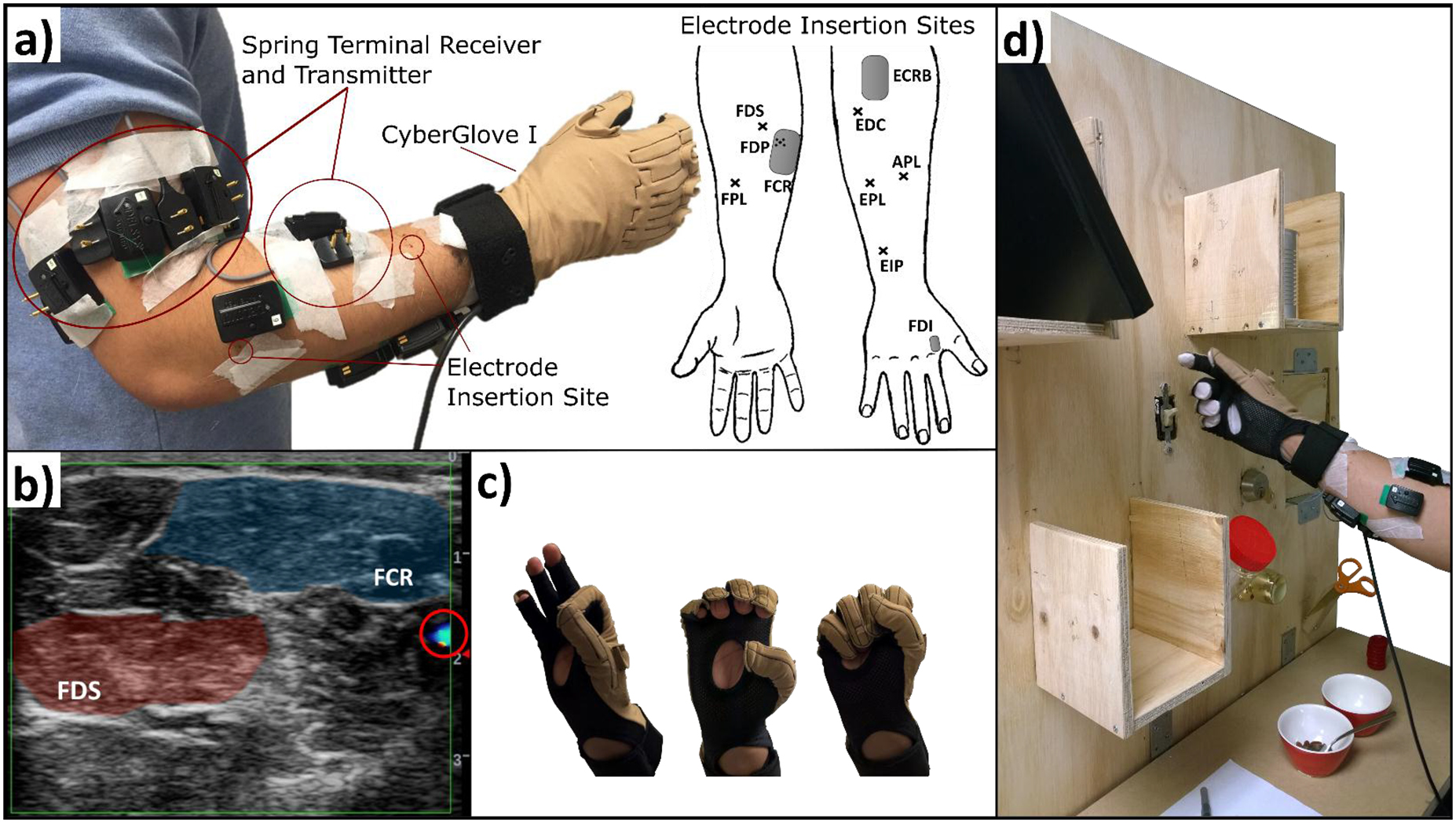 Hand Function Component Muscle synergies for predicting non-isometric complex hand function for ...