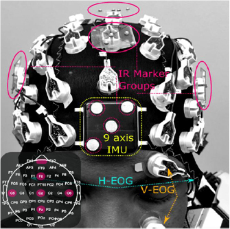 Characterization and real-time removal of motion artifacts from EEG ...
