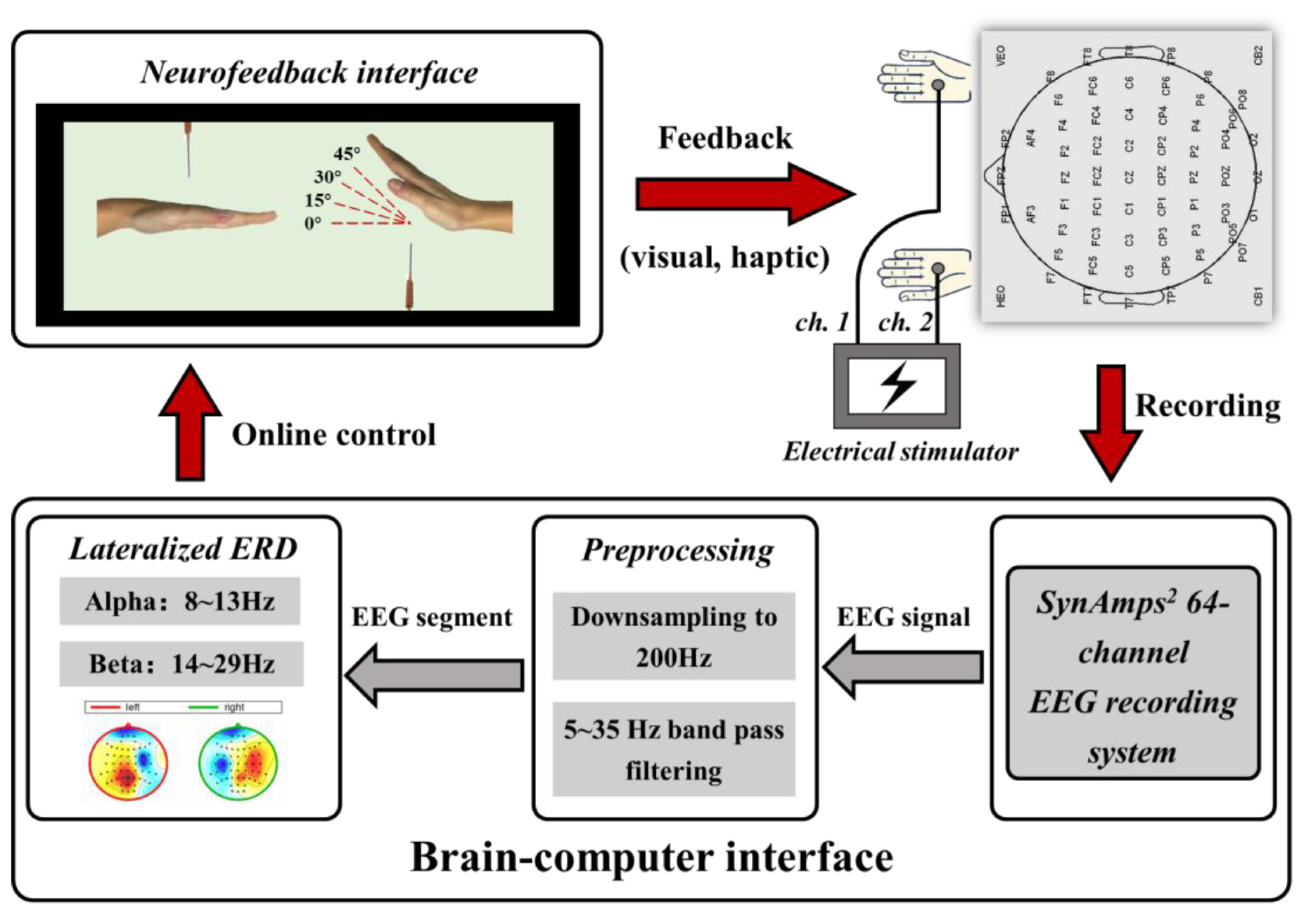 A BCI based visual-haptic neurofeedback training improves cortical ...
