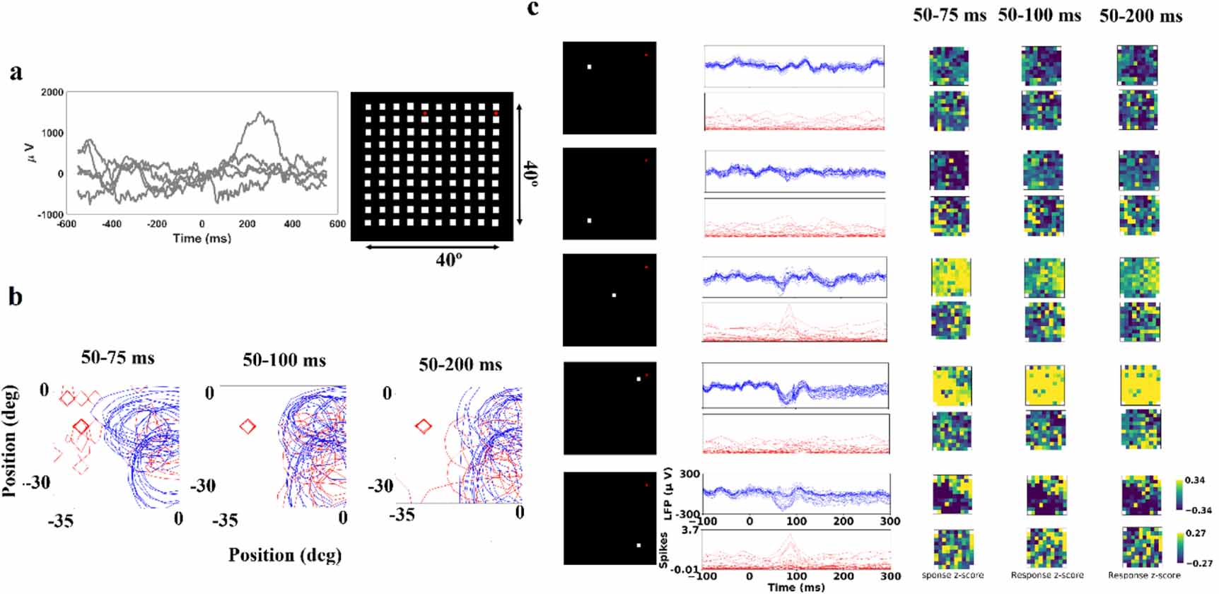 Spatial resolution of local field potential signals in macaque V4 ...