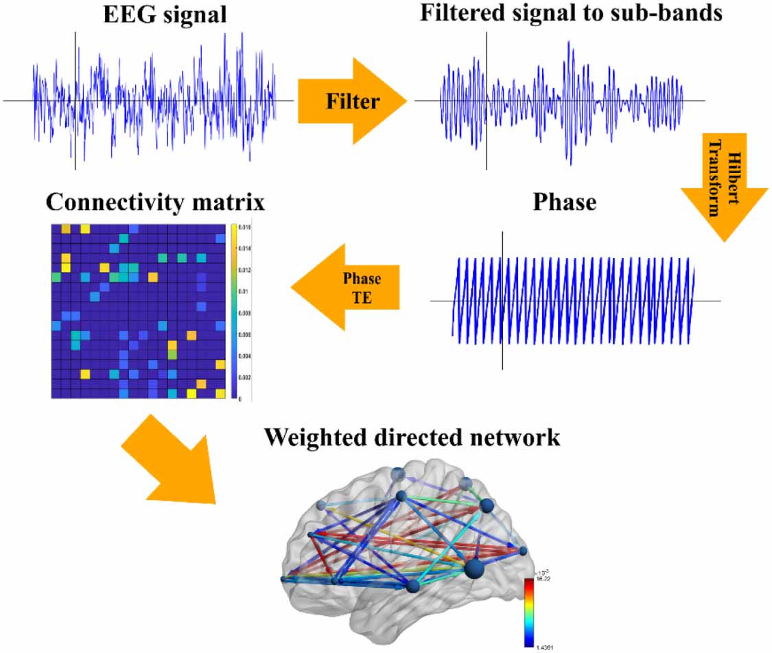 Graph theory analysis of directed functional brain networks in major ...