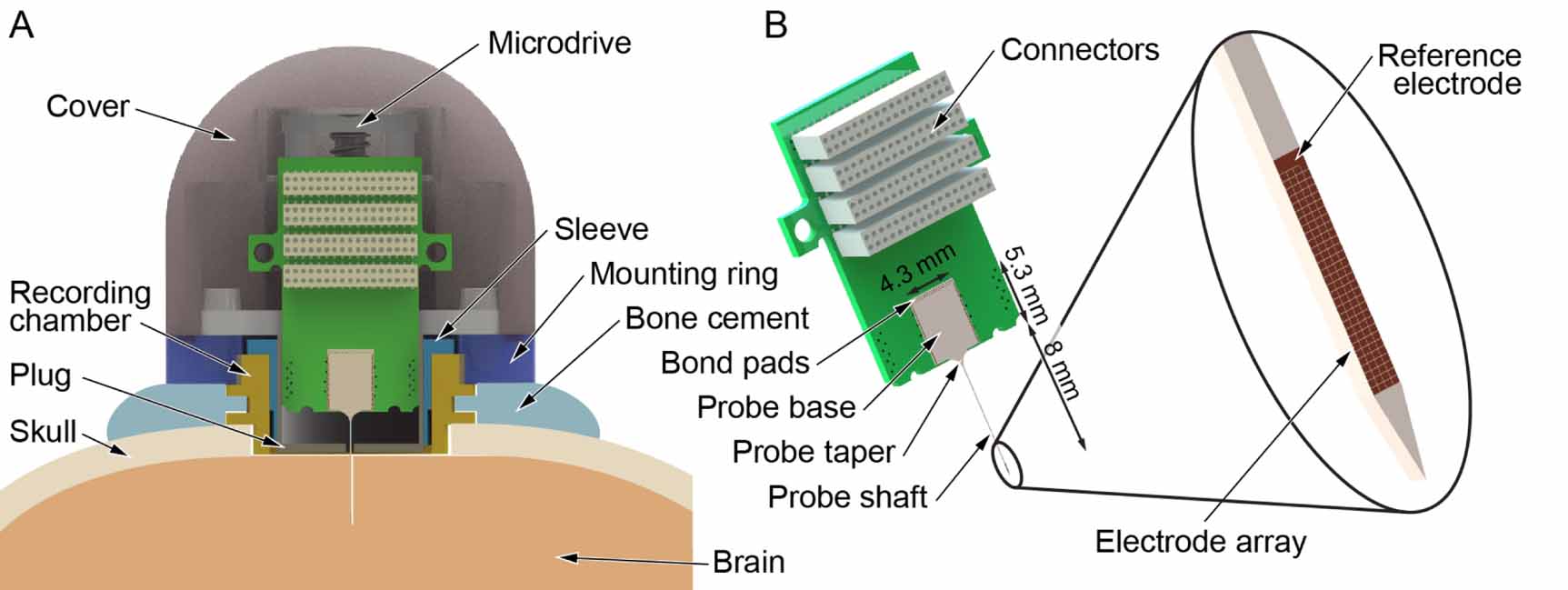High-density electrophysiological recordings in macaque using a ...