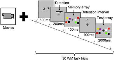 Spatiotemporal dynamics of working memory under the influence of ...